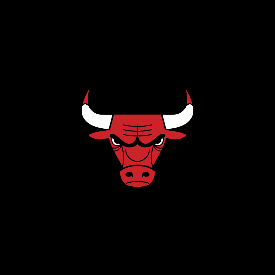 Wallpapers Chicago Bulls