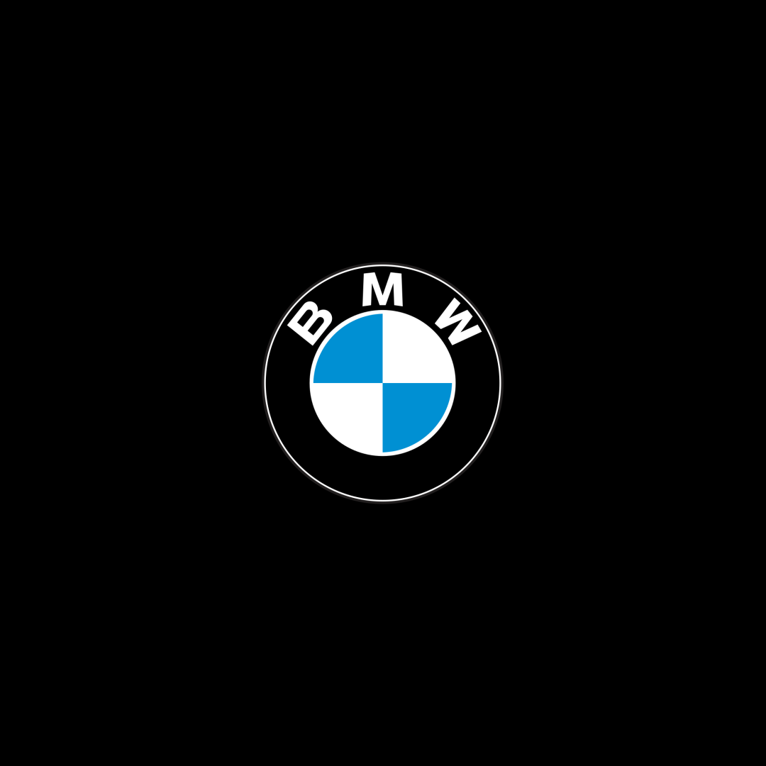 BMW Logo flat style